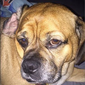 Meet your Posher, Kevin